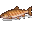 Жареный лосось